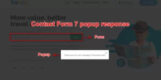 Contact Form 7 popup response